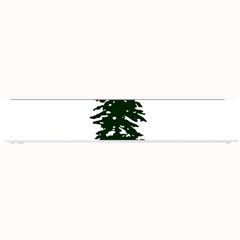 Flag Of Cascadia Small Bar Mats by abbeyz71