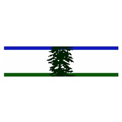 Flag Of Cascadia Satin Scarf (oblong) by abbeyz71