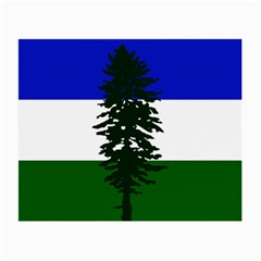 Flag Of Cascadia Small Glasses Cloth (2-side) by abbeyz71