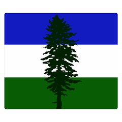 Flag Of Cascadia Double Sided Flano Blanket (small)  by abbeyz71