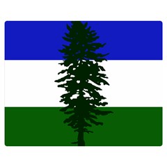 Flag Of Cascadia Double Sided Flano Blanket (medium)  by abbeyz71