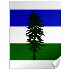 Flag Of Cascadia Canvas 36  X 48   by abbeyz71