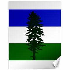 Flag Of Cascadia Canvas 12  X 16   by abbeyz71