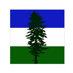 Flag Of Cascadia Small Satin Scarf (square) by abbeyz71