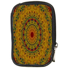 India Mystic Background Ornamental Compact Camera Cases by Nexatart