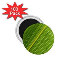 Leaf Plant Nature Pattern 1 75  Magnets (100 Pack)  by Nexatart