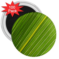 Leaf Plant Nature Pattern 3  Magnets (100 Pack) by Nexatart