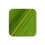 Leaf Plant Nature Pattern Rubber Square Coaster (4 pack)  Front