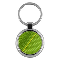 Leaf Plant Nature Pattern Key Chains (round)  by Nexatart