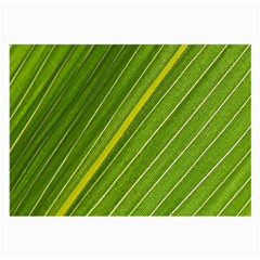 Leaf Plant Nature Pattern Large Glasses Cloth (2-side)