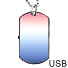 Red And Blue Dog Tag USB Flash (One Side)