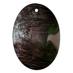 20180111 175704 Oval Ornament (two Sides) by AmateurPhotographyDesigns