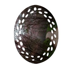 20180111 175704 Oval Filigree Ornament (two Sides) by AmateurPhotographyDesigns