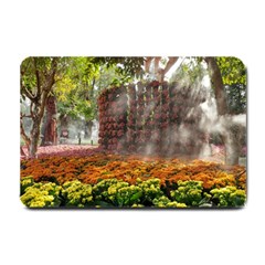 20180115 144003 Hdr Small Doormat  by AmateurPhotographyDesigns