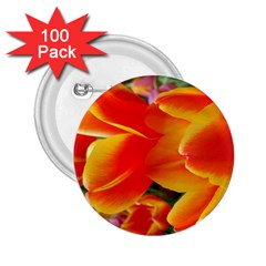 20180115 144714 Hdr 2 25  Buttons (100 Pack) 