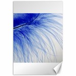 Feather Blue Colored Canvas 24  x 36  23.35 x34.74  Canvas - 1