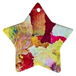 Art Detail Abstract Painting Wax Ornament (Star) Front