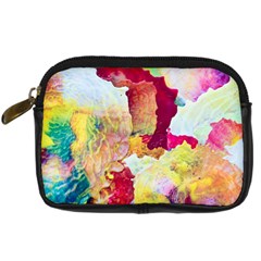 Art Detail Abstract Painting Wax Digital Camera Cases