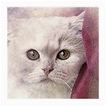 Cat Pet Cute Art Abstract Vintage Medium Glasses Cloth (2-Side) Front