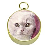 Cat Pet Cute Art Abstract Vintage Gold Compasses Front