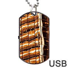 Abstract Architecture Background Dog Tag Usb Flash (two Sides)