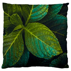 Green Plant Leaf Foliage Nature Standard Flano Cushion Case (two Sides)