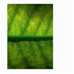 Leaf Nature Green The Leaves Large Garden Flag (two Sides)