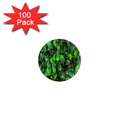 The Leaves Plants Hwalyeob Nature 1  Mini Magnets (100 Pack)  by Nexatart