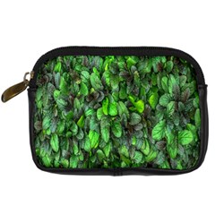 The Leaves Plants Hwalyeob Nature Digital Camera Cases by Nexatart