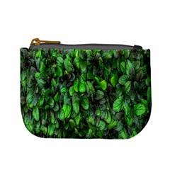 The Leaves Plants Hwalyeob Nature Mini Coin Purses by Nexatart