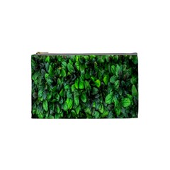 The Leaves Plants Hwalyeob Nature Cosmetic Bag (small)  by Nexatart
