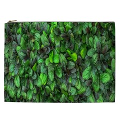 The Leaves Plants Hwalyeob Nature Cosmetic Bag (xxl)  by Nexatart