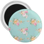 Mint,shabby chic,floral,pink,vintage,girly,cute 3  Magnets Front