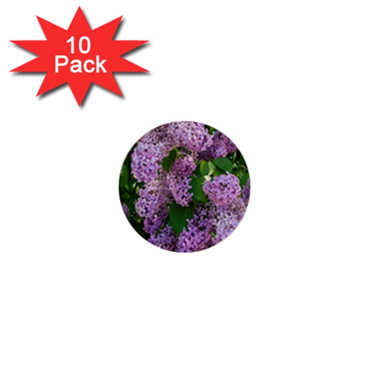 Lilacs 2 1  Mini Buttons (10 pack) 