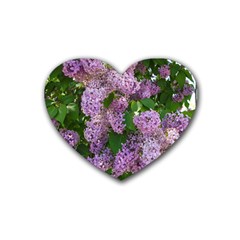Lilacs 2 Heart Coaster (4 Pack) 