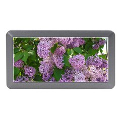 Lilacs 2 Memory Card Reader (mini)