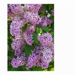 Lilacs 2 Small Garden Flag (two Sides) by dawnsiegler