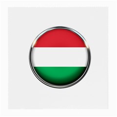 Hungary Flag Country Countries Medium Glasses Cloth