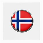 Norway Country Nation Blue Symbol Medium Glasses Cloth Front