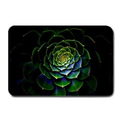 Nature Desktop Flora Color Pattern Plate Mats