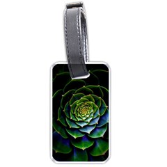 Nature Desktop Flora Color Pattern Luggage Tags (one Side) 