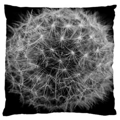 Dandelion Fibonacci Abstract Flower Large Cushion Case (two Sides) by Nexatart