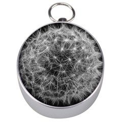 Dandelion Fibonacci Abstract Flower Silver Compasses by Nexatart