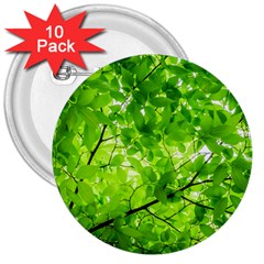 Green Wood The Leaves Twig Leaf Texture 3  Buttons (10 Pack)  by Nexatart