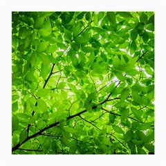 Green Wood The Leaves Twig Leaf Texture Medium Glasses Cloth