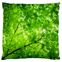 Green Wood The Leaves Twig Leaf Texture Standard Flano Cushion Case (one Side) by Nexatart