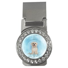 Cute Little Havanese Puppy Money Clips (cz) 