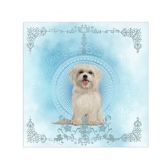 Cute Little Havanese Puppy Small Satin Scarf (square)  by FantasyWorld7
