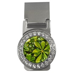 Top View Leaves Money Clips (cz)  by dflcprints