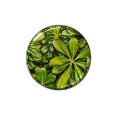 Top View Leaves Hat Clip Ball Marker (10 Pack) by dflcprints